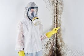 Environmental Consulting for Mold Prevention in Deltona, FL